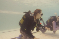 18927372_1137772333034952_1991665095_o