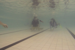 19047024_1137774849701367_180644912_o