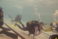 19047113_1137773979701454_259025789_o