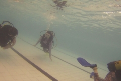 19047234_1137777859701066_704868561_o