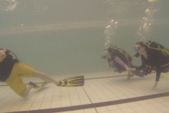 19047321_1137770433035142_224007945_o