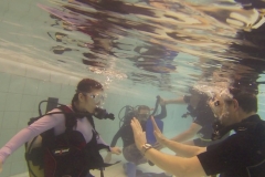 19047384_1137777896367729_89278514_o