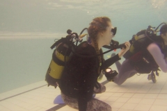 19048568_1137773806368138_216616171_o