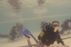 19048679_1137772336368285_622835469_o