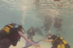 19073046_1137777739701078_2137469431_o