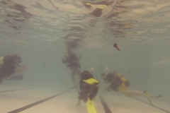 19073402_1137777743034411_66908165_o