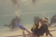 19104804_1137772279701624_147069834_o