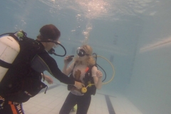 14858749_971723839639803_1775989128_o