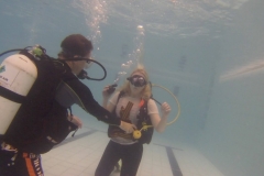 14923103_971723842973136_1411892945_o