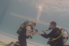 14923925_971723979639789_292357761_o