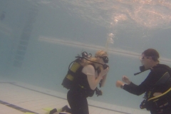 14958211_971723939639793_880248284_o