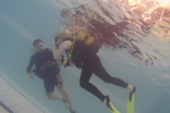 14959136_971723502973170_442815700_o