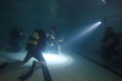 16196448_10211618004716385_224294854_o