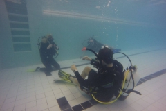 16196723_10211618005036393_951289373_o