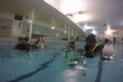 16196873_10211618002596332_1364681640_o