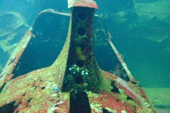 DSCF1627
