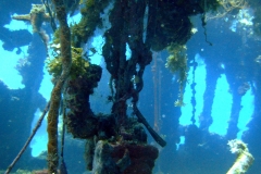 DSCF1637