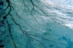 DSCF1721
