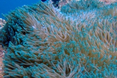 DSCF1770